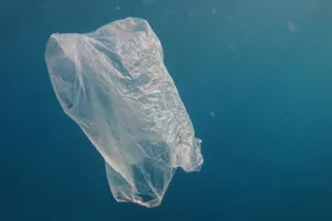 Grocery Bag Floating In Water 1400X1000
